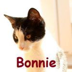 Bonnie 2 klein