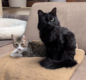 Livi und Elsa