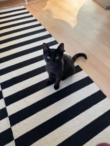 Nils_2
